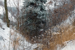 rmch2012foto047