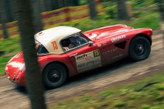 rck2013_49