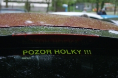 SONY DSC