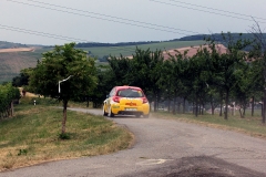 Agrotec Petronas Syntium Rally Hustopeče - Daňhelová / Jugasová (f:Benych)
