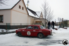 wt2011fotod20