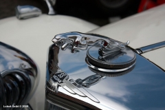 jaguar2009foto09