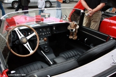 jaguar2009foto10