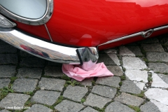 jaguar2009foto22
