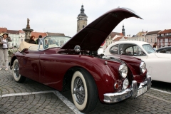 jaguar2009foto23