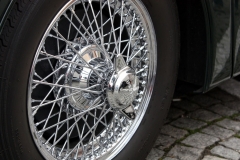 jaguar2009foto24